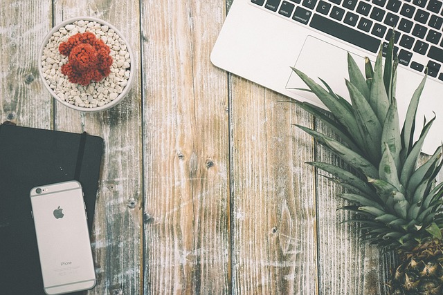 1 (6).jpg